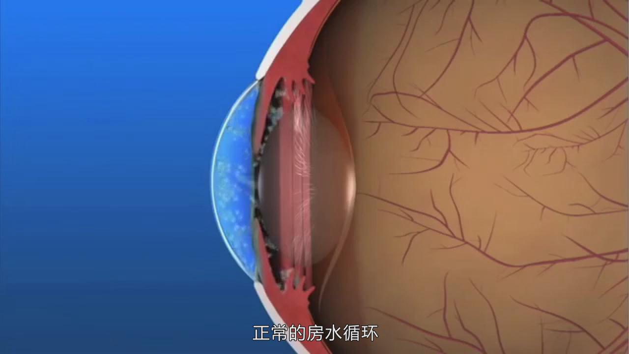 &#20048;&#40060;&#22312;&#32447;&#45;&#20048;&#40060;&#22312;&#32447;&#40;&#20013;&#22269;&#41;