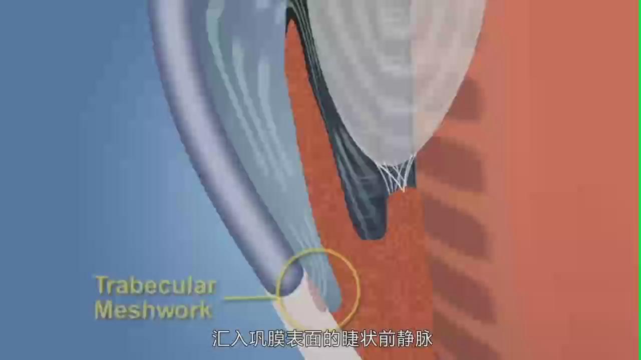 &#20048;&#40060;&#22312;&#32447;&#45;&#20048;&#40060;&#22312;&#32447;&#40;&#20013;&#22269;&#41;